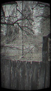 1 more week 🪓🦷 | Diggy Graves