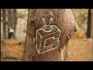 CiTV - Continuity and Adverts (30th September 2012)