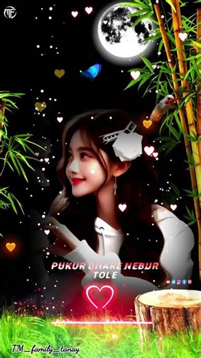 বাঁশ বাগানের মাথার উপর চাঁদ উঠেছে ওই। মাগো আমার..... বলা কাজলা দিদি কই.....?