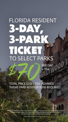 8.4K views · 22 reactions | Sprinkle a little pixie dust on your special moments this season  ❄️ with a Florida Resident 3-Day, 3-Park Ticket. | Walt Disney World | Facebook