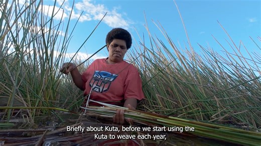 Every day feels like the International Day of Rural Women in our office — but we're especially grateful for this dedicated day to celebrate the vital contributions of rural and remote women around the world. 🤎✨ In Fiji, rural and remote Indigenous women — particularly weavers — play a unique and powerful role not only in preserving cultural heritage but also in protecting the environment. Through traditional weaving practices, they help safeguard native plant species, pass on sustainable harves