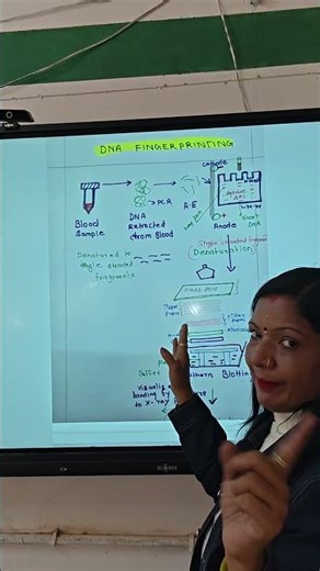 "DNA Fingerprinting Explained"#biology #viralvideo