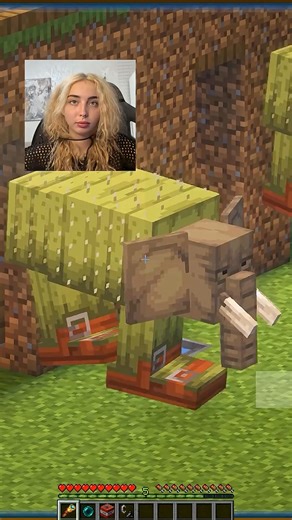 1K views | House Upgrade for Lirilis 梁#minecraft | Nikita Shorts | Facebook