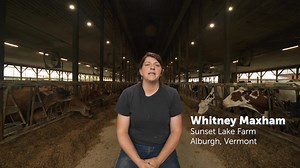 248 reactions · 19 shares | Save money and reduce waste!  Get a free consultation to identify cost-effective projects, current financial incentives & custom rebates. Objective recommendations + direct contact from our team for all future needs or questions. Book now! | Efficiency Vermont | Facebook