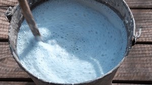 Diluted Bordeaux mixture in a bucket.