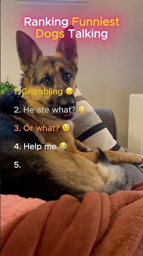 Top 5 Funniest Talking Dogs Ever 😂🐶 (Hilarious Dog Sounds!) #TalkingDogs #FunnyDogs #Viral