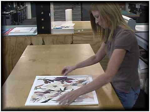 Mounting Your Artwork for DIY and Custom Framing with American Frame