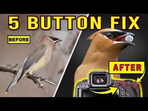 I Changed 5 Buttons on My R5 Mark II… and My Bird Photos Instantly Improved