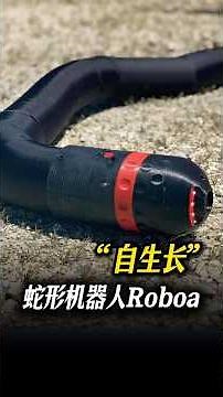 “自生长”蛇形机器人Roboa #科技 #科普