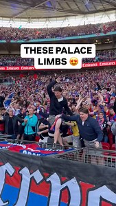 THESE LIMBS AFTER PALACE OPEN THE SCORING 😍🦅 🎥: @itvfootball | Men In Blazers