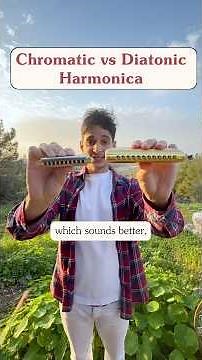 chromatic vs. diatonic differences #harmonica