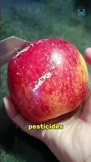 Ever Notice These Numbers on Fruit? Here’s What They Mean!