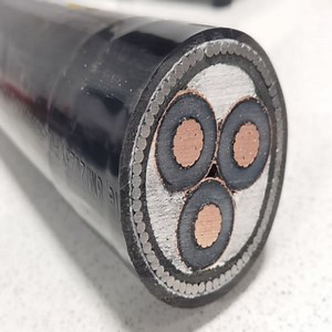 [Hot Item] Direct Burial XLPE PVC Insulated Power Cable for Underground Networks