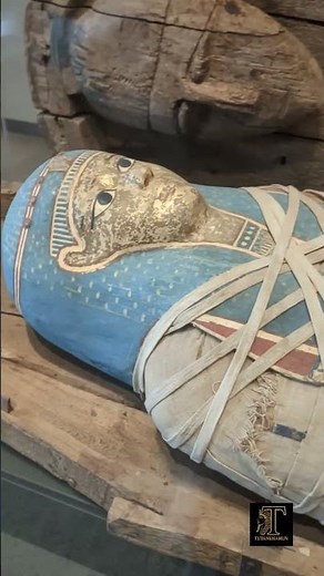 A Remarkably Preserved Ptolemaic Mummy Inside Its Wooden Coffin #ancientegypt #history