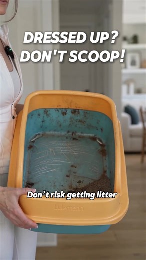 Revolutionize Your Litter Box Routine with This Hack