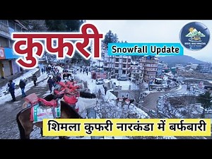 Kufri Tourist Places in Winter,Shimla Kufri Snowfall Update,Shimla Kufri Latest Video, Shimla Kufri