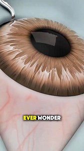 How Vitrectomy is Done? (3D Animation) #how #vitrectomy #eyes #vision #3danimation | Medical Hub