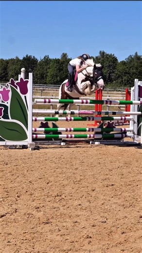 Jumping With Ivy on Instagram: "When the incredible Arlo cleared a fence bigger than himself 😳! #horse #equestrian #showjumping #horseriding horselover"