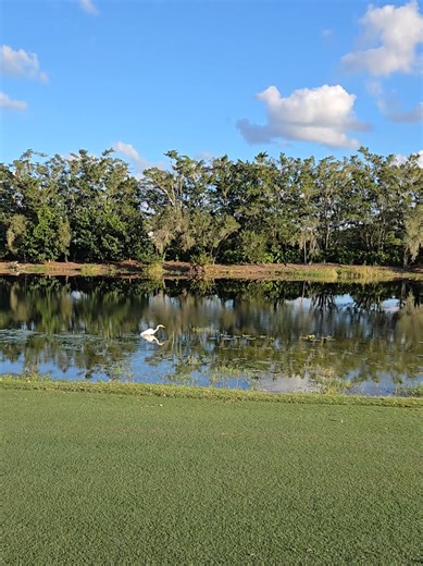 Winter Golfing in Sunny Florida