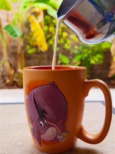 I had to make myself a hot cup of hot chocolate before, I started filming some content. I couldn't resist making an ASMR video out of the process! It was almost so perfect... Just that lawnmower though! 😭 That aside, get ready for a couple days of 1990s and 2000s nostalgia! I found a few fun things at my childhood home that took me way back. Hope y'all enjoy the throw back! ✨️ ✨️ ✨️ ✨️ ✨️ ✨️ ✨️ ✨️ ✨️ #hotchocolate #asmr #eeyore #nostalgia