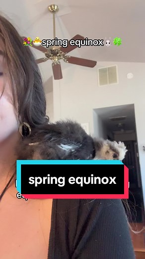 How to celebrate Ostara in 2024. Rituals and ideas for your spring equinox celebration. The spring/vernal equinox is the official beginning of spring. This year, the spring equinox is Tusday, March 19, 2024 at 11:06 pm est. The spring equinox is the first day of Aries season, when day and night are roughly equal. #springequinox2024 #ostarablessings #springequinox #ostara #howtocelebrateostara #pagan #wheeloftheyear #beginnerwitch101 #beginnerwitchtips #aries