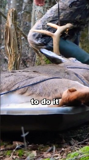 How We Hunt in the Northeast