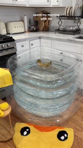 Satisfying Rijju 💗 | Duck 🦆 & Puppy 🐾 Bath Time 🛁 | Cute & Satisfying Moments 🏡💛 #aestheticrijju #satisfyingrijju This video by the hayeks Cutest bath time... | Instagram