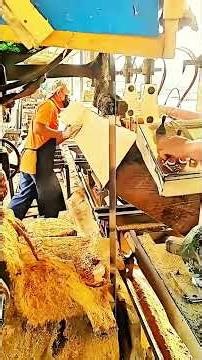 Perfect Slice: Giant Log Milling! #Woodworking #Satisfying #Precision