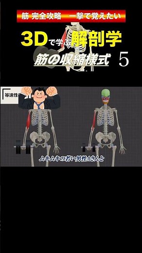 等速性収縮 〇〇性収縮ってどんな運動？ 筋の収縮様式の違い #筋トレ #ボディメイク #pt国試