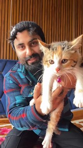 416K views · 2.8K reactions | Testing Cat reaction to sticky tape  #cat #funny #viralpost #catlover #trendingnow | Akhoon Zahur | Facebook