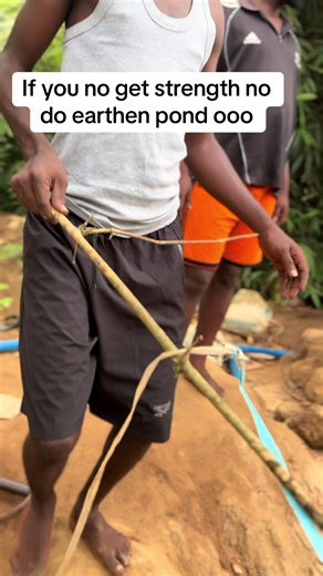 Urban Fish Farming Insights