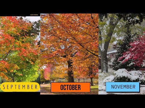 Fall/Autumn Season through the months