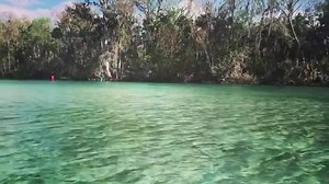 114K views · 104 reactions | Trips To Discover FL on Reels | Facebook