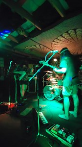 Tree Kitty | Kirby's