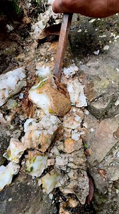 discovery of gold nuggets | Ades Discovery
