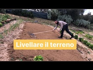 Come livellare il terreno prima di seminare il prato