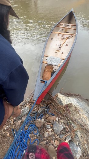 픬픩픦픳픦픞 픡픢픢 on Instagram: "corgi rescue  so so thankful for everyone who pulled through to find us yesterday and get us out"