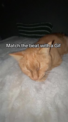 #gif #fyp | gif tiktoks