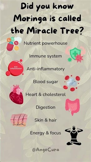 Moringa is called the Miracle Tree #Shorts #HealthyFood #Moringa
