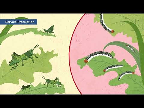 Climate Services for Farmers