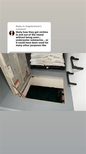 Understanding Maxwell's Role as a Submarine Pilot