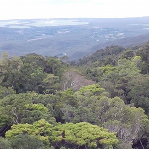 344K views · 16 comments | We’re ramping up our rollout of the Mobile Black Spot Program, and we’ll soon begin building a new mobile base station in Woods Point. Click ‘Learn More’ to discover extra information on the new tower build! | Telstra | Facebook