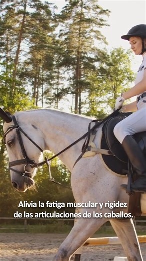 ABSORBINE® LINIMENTO VETERINARIO Alivia la fatiga muscular y rigidez de las articulaciones de los caballos. INDICACIONES: Calentar el músculo antes del ejercicio, acelerando así el tiempo de recuperación del músculo post-ejercicio. Tratamiento de dolores artríticos. Infecciones de pezuñas (ayuda a prevenir infecciones de hongos y bacterias aplicado directamente). Como baño con efecto refrescante y antiséptico, con un pH equilibrado (vaciar una parte de Absorbine Linimento en una cubeta de agua, 