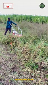 67K views · 3.7K reactions | Introducing the revolutionary Grass...