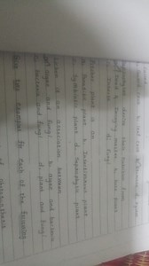 What are called?   Guard cells   Leaf cells   Stomata   Xyl... | Filo