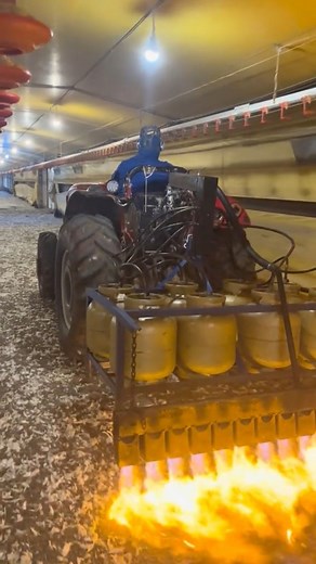 360K views · 3.3K reactions | Another way to sterilize the floor of the poultry farm using a heat source to eliminate pathogens #اوروك | اوروك لصحة الحيوان | Facebook