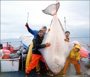 What was the largest halibut ever caught? [2025] | QAQooking.wiki