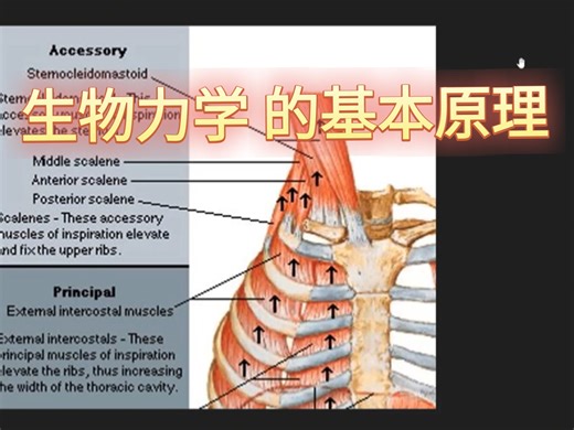 第一周 复习1