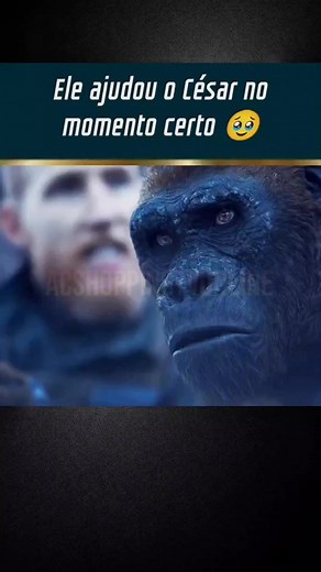 2M views · 10K reactions |  ASSISTA AQUI  https://wa.me/5524998348055 #filme #filmes #series #recap #filmesonline #trechosdefilmes #acshoppingtvonline | Acshoppingonline | Facebook