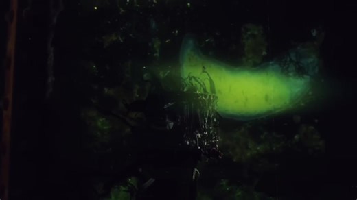 Exploring the Beauty of Mad God